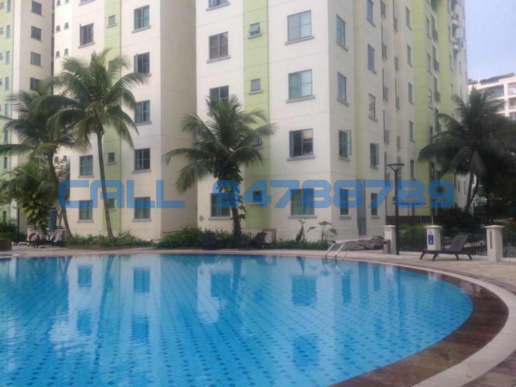 Springdale Condominium thumbnail photo